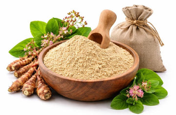 The Renal Renaissance: How Punarnava Restores Kidney Filtration and Flushes Uric Acid