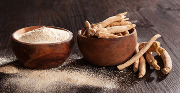 From Warriors to Weightlifters: How Ashwagandha Enhances Muscle Strength, Stamina, and Athletic Recovery