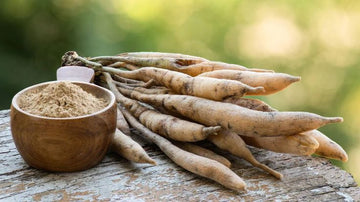 Shatavari in Ayurveda: The Ancient Herb of Nourishment, Grace & Feminine Wellness