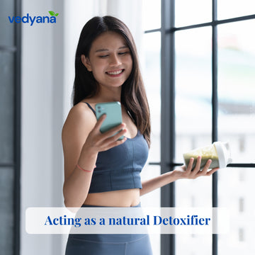 Vedyana Haritaki Powder (Terminalia chebula) | Haritaki Churna