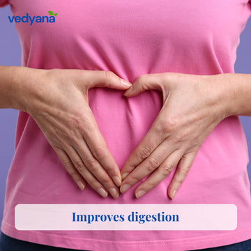 Vedyana Flax Seeds (Linum usitatissimum) | Alsi Seeds