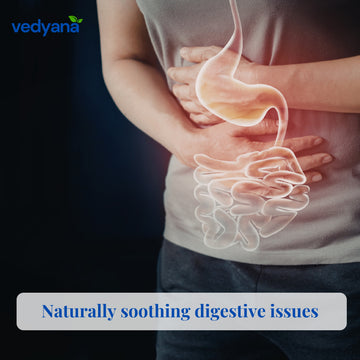 Vedyana Dill Seed Powder (Anethum graveolens) | Suva Powder
