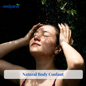 Vedyana Kokum (Garcinia indica) | Aamsul Dried Fruit