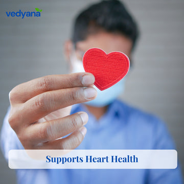 Vedyana Kokum (Garcinia indica) | Aamsul Dried Fruit