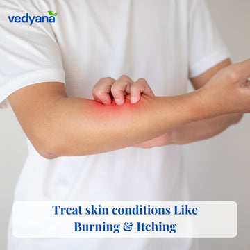 Vedyana Natural Camphor (Bhimseni Kapoor) | Cinnamomum camphora