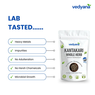 Vedyana Kantakari Whole Herb (Solanum xanthocarpum) | Dashmool Herb