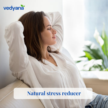 Vedyana Peppermint Leaves (Mentha piperita) | Dried Pudina