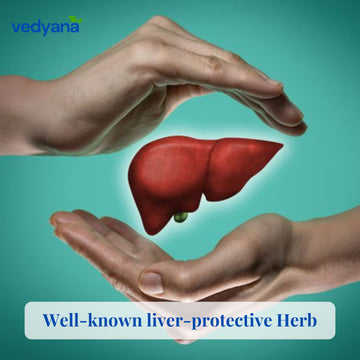 Vedyana Daru Haldi Powder | Daruharidra | Berberis aristata