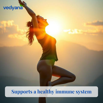Vedyana Papaya Powder | Ripe Papaya Fruit Powder