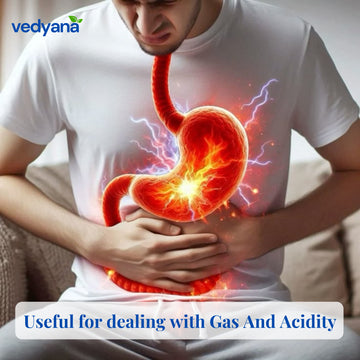 Vedyana Erand Bhrust Harde Powder (Terminalia chebula) | Harad | Haritaki