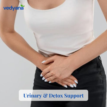 Vedyana Somlata Herb (Ephedra gerardiana) | Soma Herb