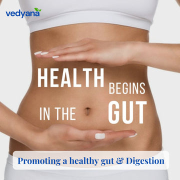 Vedyana Lemongrass Tea Cut (Cymbopogon citratus) | Herbal Tea