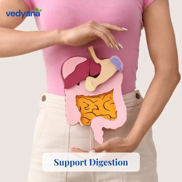 Vedyana Shallaki Resin (Boswellia serrata) | Salai Guggal | Indian Frankincense