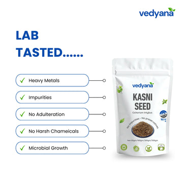 Vedyana Kasni Seeds (Cichorium intybus)