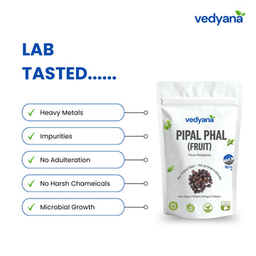 Vedyana Pipal Phal | Peepal Fruit | Ficus religiosa