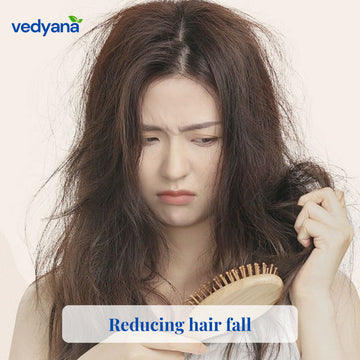 Vedyana Hair Wash Pack | Amla Reetha Shikakai Powder Combo