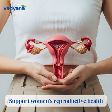 Vedyana Yellow Asparagus Root Powder (Asparagus officinalis)