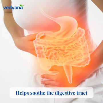 Vedyana Yellow Asparagus Root Powder (Asparagus officinalis)