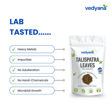 Vedyana Talispatra Leaves (Abies webbiana) | Indian Silver Fir Leaves