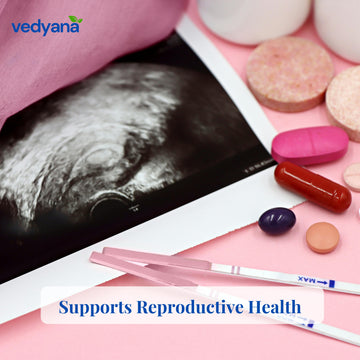 Vedyana Vidarikand Powder (Pueraria tuberosa) | Indian Kudzu Powder