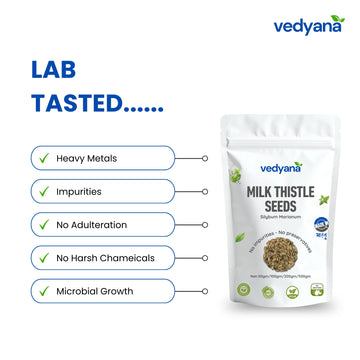 Vedyana Milk Thistle Seeds (Silybum marianum) | Mary Thistle | Herbal Seeds