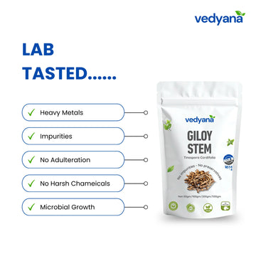 Vedyana Giloy Stem (Tinospora cordifolia) | Guduchi