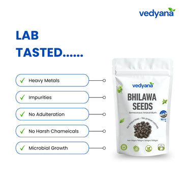 Vedyana Bhilawa Seeds (Semecarpus anacardium) | Marking Nut | Bhilawa Beej
