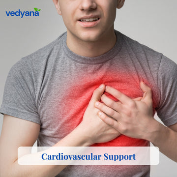 Vedyana Arjuna Powder (Terminalia arjuna) | Arjun Chaal Powder