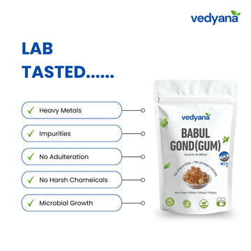 Vedyana Babul Gond (Acacia nilotica) | Laddu Gond | Gond Babool