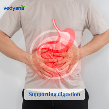 Vedyana Black Cardamom Powder (Badi Elaichi) | Amomum subulatum