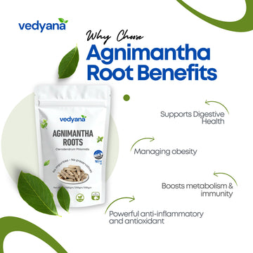 Vedyana Agnimantha Roots (Clerodendrum phlomidis) | Arni Root