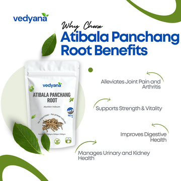 Vedyana Atibala Root (Abutilon indicum)