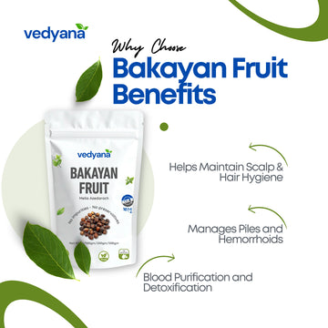 Vedyana Bakayan Fruit (Melia azedarach) | Chinaberry Dried Fruit
