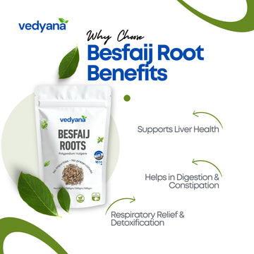 Vedyana Besfaij Roots (Polypodium vulgare)