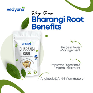 Vedyana Bharangi Root (Clerodendrum serratum)