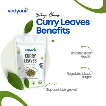 Vedyana Curry Leaves (Murraya koenigii) | Kadi Patta