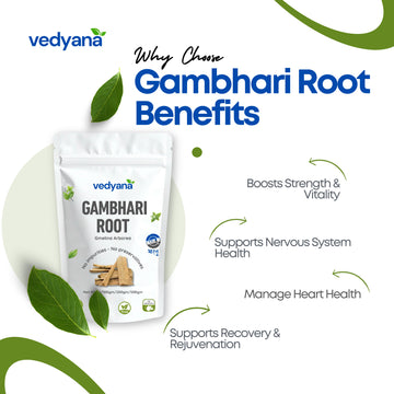 Vedyana Gambhari Root (Gmelina arborea)
