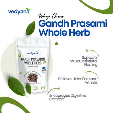 Vedyana Gandh Prasarni (Paederia foetida) | Gandha Prasarini | Skunk Vine