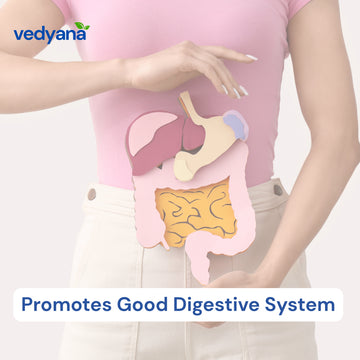 Vedyana Ashwagandha Powder (Withania somnifera) | Indian Ginseng
