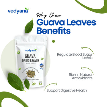 Vedyana Guava Leaves (Psidium guajava) | Amrood Patta | Guava Leaf