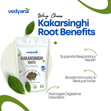 Vedyana Kakarsinghi Roots (Pistacia integerrima) | Kakad Singhi | Karkatashringi