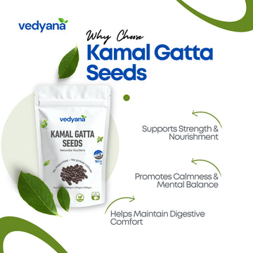 Vedyana Kamal Gatta Seeds (Nelumbo nucifera) | Lotus Seeds | Kamal Beej