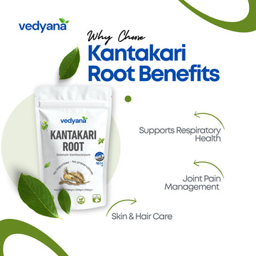 Vedyana Kantakari Root (Solanum xanthocarpum)