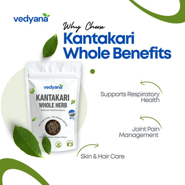 Vedyana Kantakari Whole Herb (Solanum xanthocarpum) | Dashmool Herb