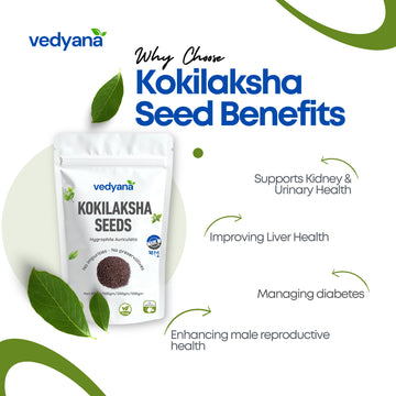 Vedyana Kokilaksha Seeds (Hygrophila auriculata) | Talmakhana