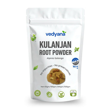 Vedyana Kulanjan Powder | Alpinia galanga | Greater Galangal