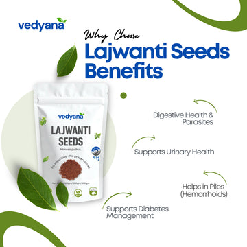 Vedyana Lajwanti Seeds | Mimosa pudica