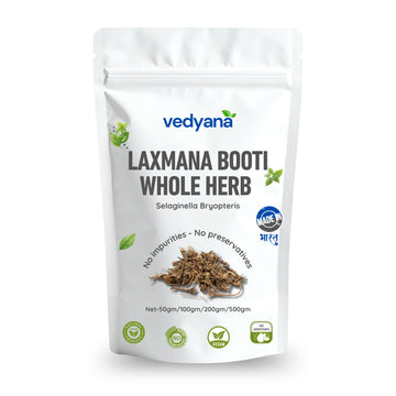 Vedyana Sanjeevani Booti (Selaginella bryopteris) | Laxmana Booti