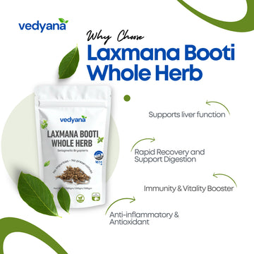 Vedyana Sanjeevani Booti (Selaginella bryopteris) | Laxmana Booti
