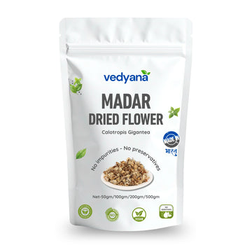 Vedyana Madar Flower (Calotropis gigantea) | Aak ke Phool